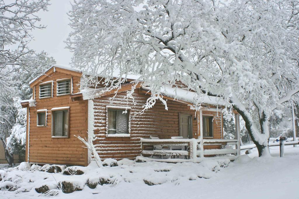 Ein Zivan Village Resort Bilik gambar